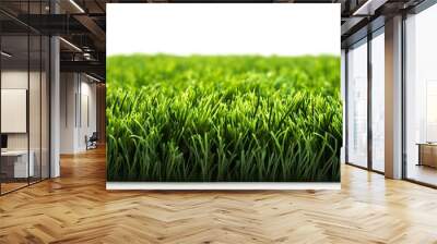 Isolated artificial grass soccer field background texture on a backdrop of pure white Wall mural