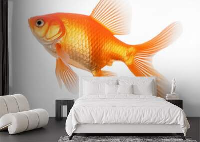 gold fish isolated on transparent and white background. Generative AI Wall mural