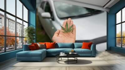 Green leaf of cannabis, marijuana for cigarettes. keep in hand on the background of the machine. The concept of transportation, dealership, transportation of drugs, hemp and leaves. Wall mural