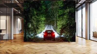 Winter Driving - Lights of car and winter road in dark night forest, big pine trees covered snow Wall mural