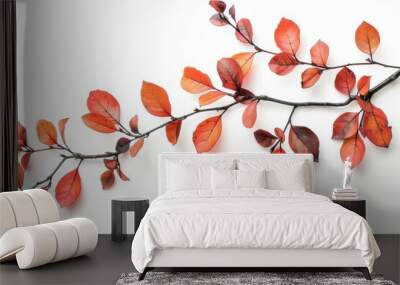 Autumn branch with bright red leaves on white background Wall mural