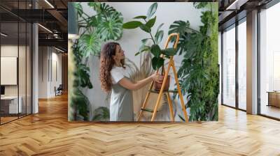 Young woman gardener take care of houseplant standing on orange vintage ladder in home garden. Female work with plants for indoor gardening. Caring girl wiping ficus leaf. Love for plants concept Wall mural