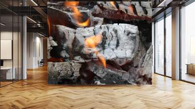 Bright burning fire of wood at fireplace 20447 Wall mural