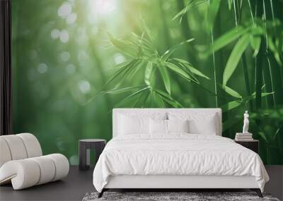 A bamboo plant leaves at the sunny forest Wall mural