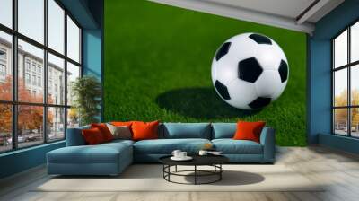 One football soccer ball on a green grass field Wall mural