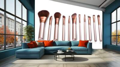 set cosmetic brush for beauty makeup Wall mural