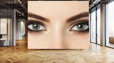 Beautiful woman with long eyelashes and with beautiful evening make-up. Eyes close up. Looking at the camera Wall mural