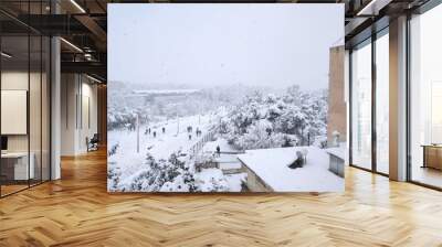 trees and buildings after a snowstorm  Wall mural