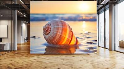 shell on the beach. snail on the beach. Wall mural