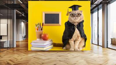 Funny cat student on yellow background with a blackboard, books and school supplies. Back to school, college, university. Learning and teaching. Online courses, distant education, 1 september, library Wall mural