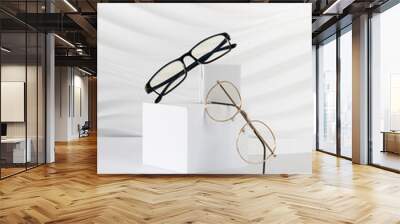 Two pairs of plastic and metallic eyeglass frames on a white background. Minimalism, eyewear fashion concept. Trendy eyeglasses still life in minimal style. Optic store discount, sale, promotion. Wall mural