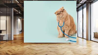 Veterinary clinic, medicines for pets banner concept. Funny cat wearing glasses and stethoscope sitting on blue background and looking at camera. Pet health care web line. Copy space, product place Wall mural