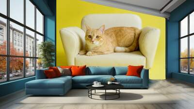 Beautiful ginger cat sitting on a leather beige sofa on a yellow background Wall mural