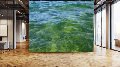 Beautiful wavy surface of clean and transparent turquoise sea water Wall mural