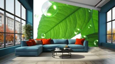 Green leaves of lemon with air bubbles Wall mural