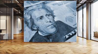 twenty american dollars Wall mural