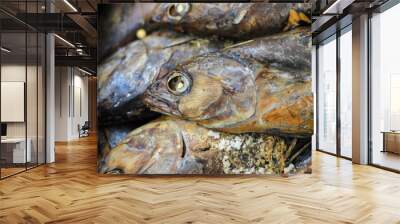 Cooked ( Pindang ) skipjack tuna Wall mural