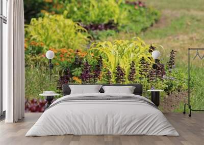 A flowerbed with mixed plants in the park on a blurred background Wall mural