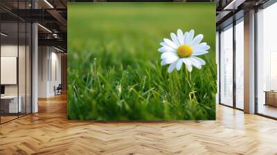 A beautiful flower in full bloom. The petals are a delicate white, and the center is a bright yellow. Wall mural