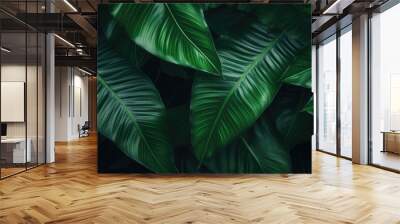 Abstract background of tropical leaves. Nature Concept.. Wall mural