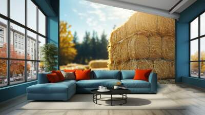 Close-up of stacks of harvested hay in a fall background on a sunny day. Straw bales harvest Wall mural