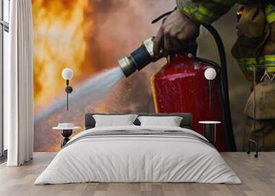 Fireman using fire extinguisher fighting fire Wall mural