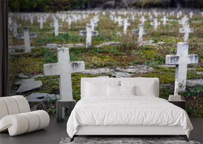 Military cemetery from the period of the Greek Civil War (1946-1949) in Nestorio in northwestern Greece Wall mural