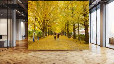 People with yellow ginkgo trees and yellow ginkgo leave the road at Ginkgo avenue Golden Autumn park in Japan Wall mural