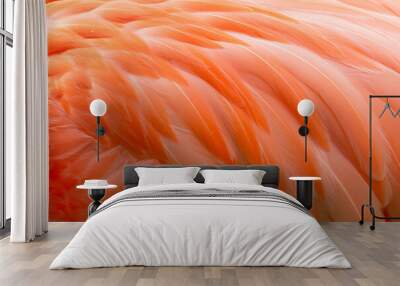 Flamingo feathers close up Wall mural