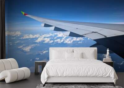 wing of airplane Wall mural