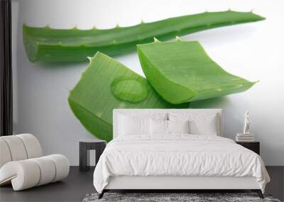 Aloe Wall mural