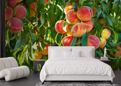 Branch of peach tree in closeup Wall mural