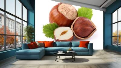 hazelnuts Wall mural