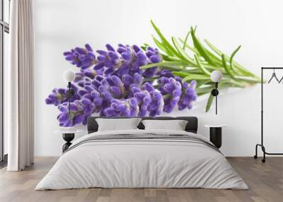 Lavender flowers Wall mural