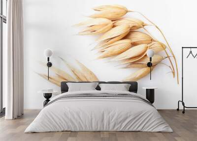 Oats spike in closeup Wall mural