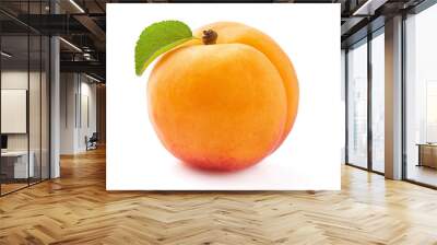 One apricot with leaf in closeup Wall mural