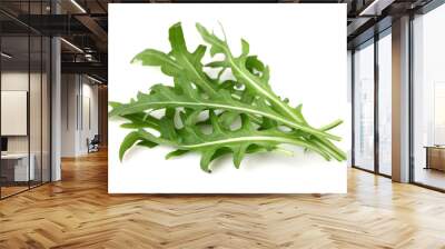 Ruccola leaves in closeup Wall mural