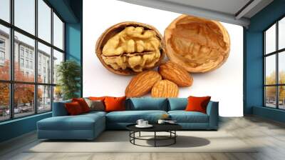 Walnuts with almonds Wall mural