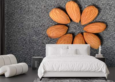 Tasty Almonds on gray background Wall mural