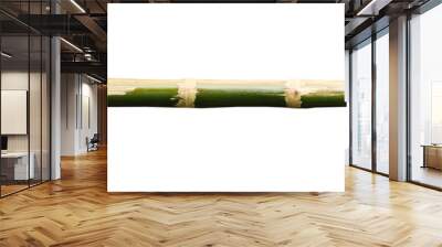 Bamboo log with white rope tied around on the end Wall mural