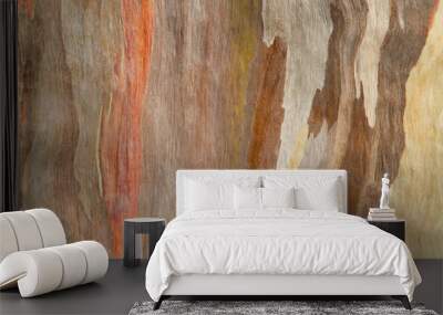 Colorful abstract pattern from Eucalyptus tree bark Wall mural