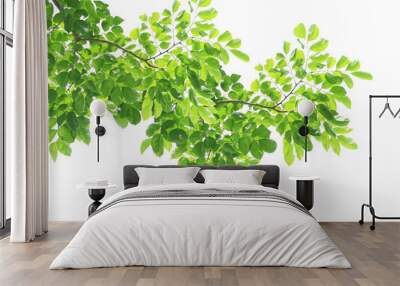 Green leaves background Wall mural