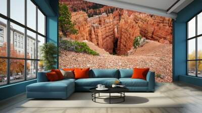 Bryce Canyon National Park Wall mural