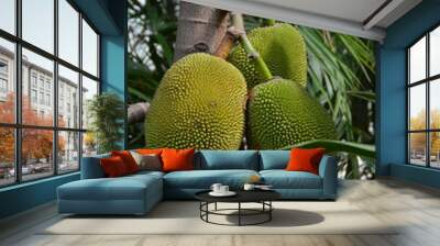 jackfruit in a tropical garten Wall mural