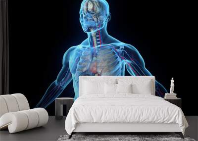 3D human body with internal organs Wall mural