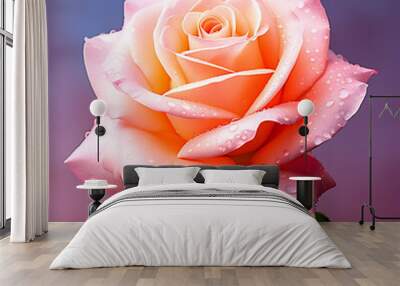 beautiful rose with water drops Wall mural