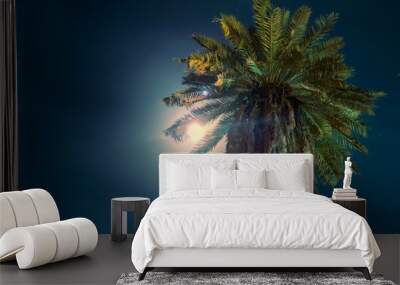 Moonlit palm tree - Moon peeking through palm tree. Wall mural