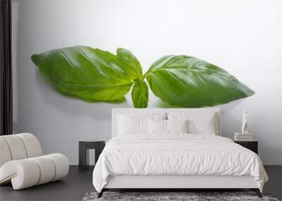 basil leaves isolated on white background Wall mural