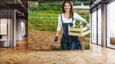 Mature farmer woman holding wood box with fresh organic lettuce - Focus on left hand Wall mural