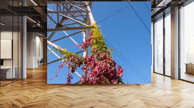 Transmission tower with a plant and power lines against blue sky Wall mural